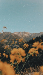 User Profile: BvbbleSerendipity