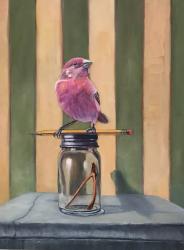 User Profile: gentlebirdie