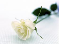 User Profile: GlassMemories