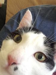 User Profile: peacefulPillow2336