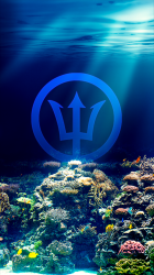 User Profile: Trip243