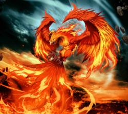 User Profile: DarkPhoenix2001