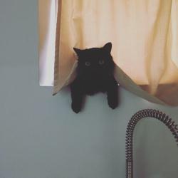 User Profile: KarmaisaLesson18