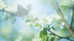 User Profile: Ayesha77