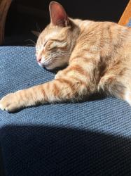 User Profile: lilzz