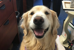 User Profile: BeansRetriever