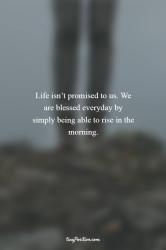 User Profile: charmingPeace6372
