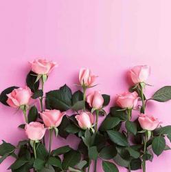 User Profile: happysunflower23