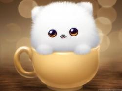 User Profile: Ginevra962