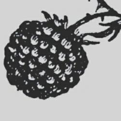 User Profile: Shallington