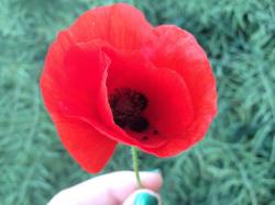 User Profile: calmingWillow35