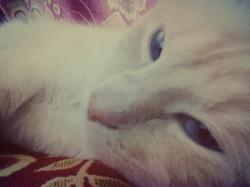 User Profile: Andreea996