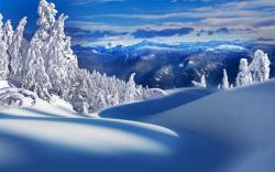 Profile: optimisticSnow80