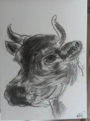 Profile: HelpfulCow