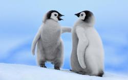 Profile: lovingPenguin