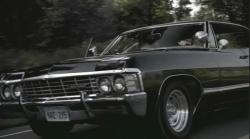 Profile: Impala67