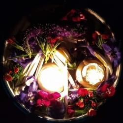 Profile: MagickalRainbow