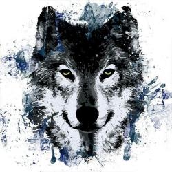 User Profile: TheWolfie