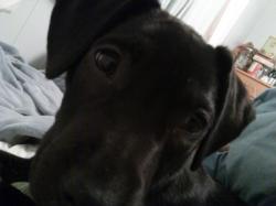 User Profile: aVoidthebrownies