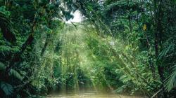User Profile: peacestorm1115
