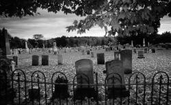 User Profile: TheGraveYard