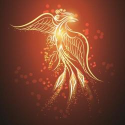 User Profile: wakingPhoenix