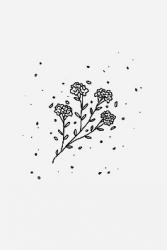 User Profile: smolbeanuwu