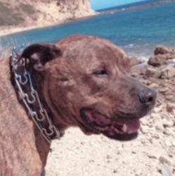 User Profile: walters