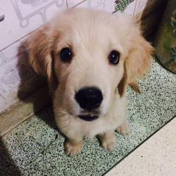 User Profile: supportiveSunshine22