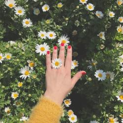 User Profile: Wildflower257