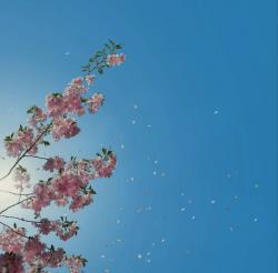 User Profile: RestingBee