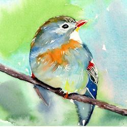 User Profile: nightingale531