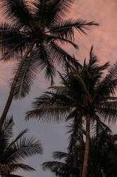 User Profile: Arial120