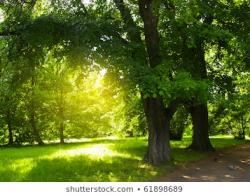 User Profile: Alwayssbehappy61