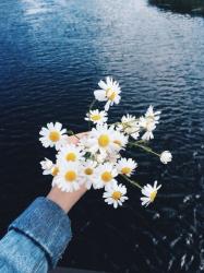 User Profile: holdonhope