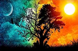 User Profile: exquisiteSunset4812