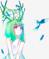 User Profile: Minaax