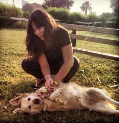 User Profile: Evalistening