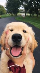 User Profile: mentallyhappy