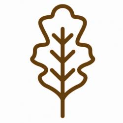 User Profile: eiche