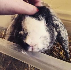 Profile: empathicSunshine6869