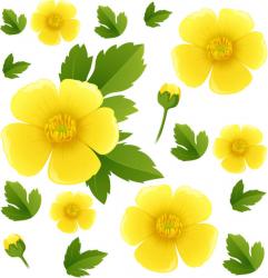User Profile: buttercupblues