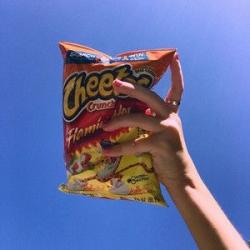 User Profile: VanessaCheetoh