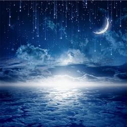 User Profile: lunartides423