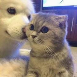 User Profile: Jackiedackie
