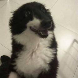 User Profile: midorichou