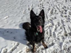 User Profile: SawyerK93