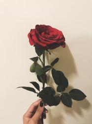 User Profile: minaha