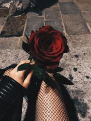 User Profile: MayWinter3