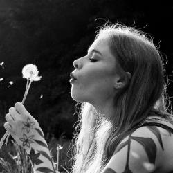 Profile: Tagtraeumer
